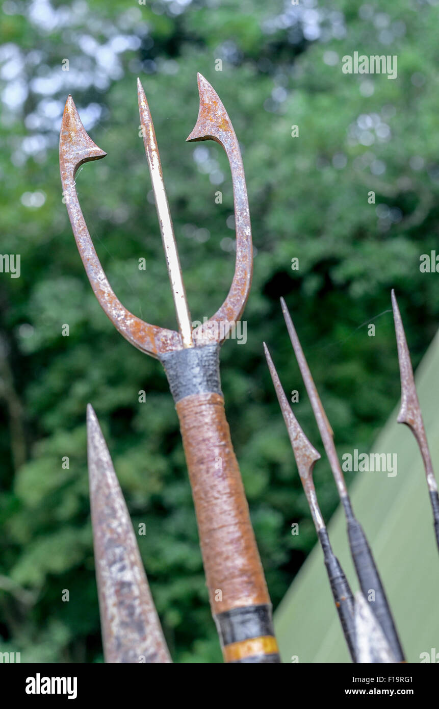 Example of hand-made fishing spear - a revival of primitive skills for  bushcraft enthusiasts Stock Photo - Alamy