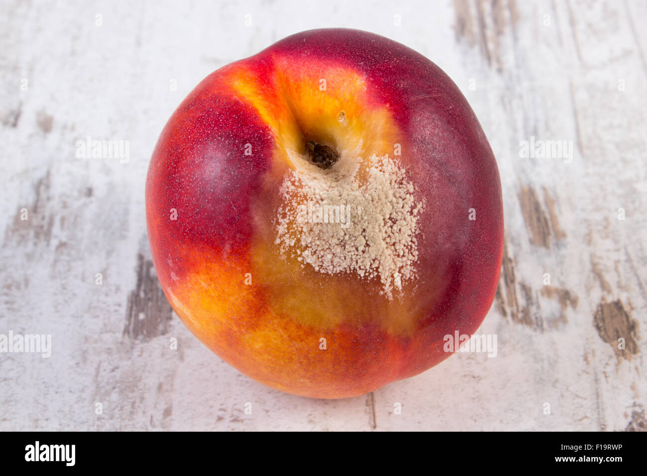 Rotten peach hires stock photography and images Alamy