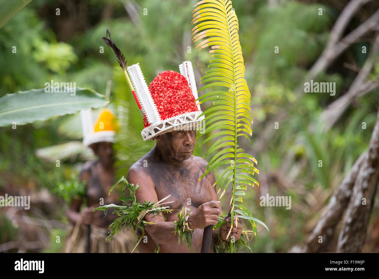 Melanesia, Vanuatu, Lo Island, local elder in tropical forest with headdress. Stock Photo