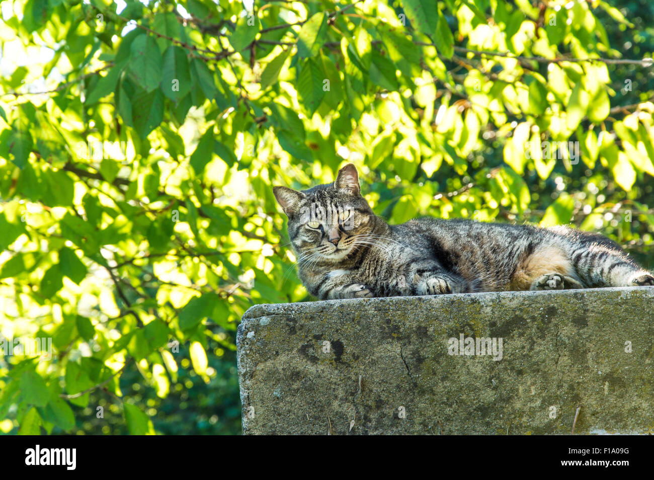 Full relaxation hi-res stock photography and images - Alamy