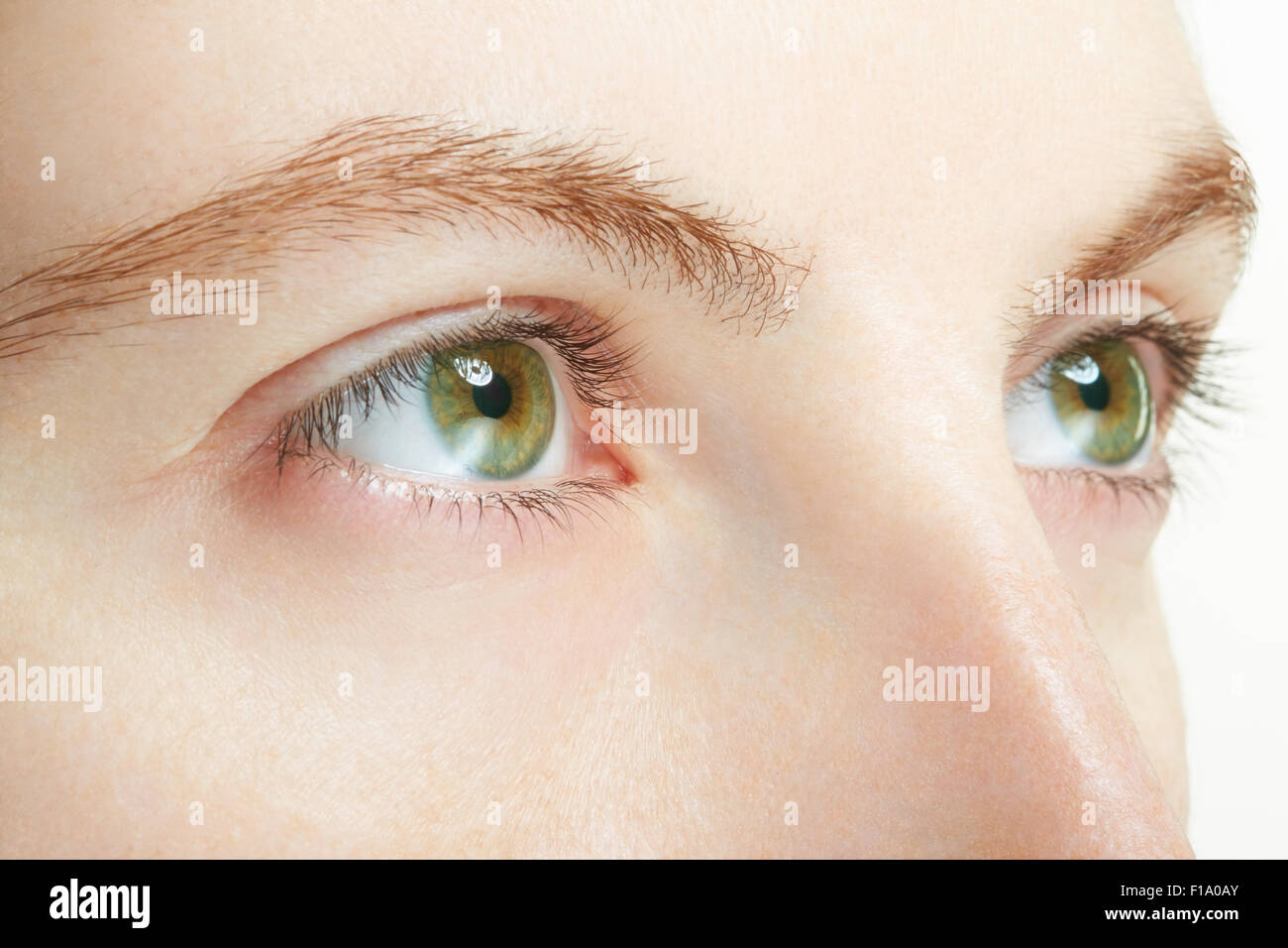 Woman green healthy eyes macro, vision concept Stock Photo