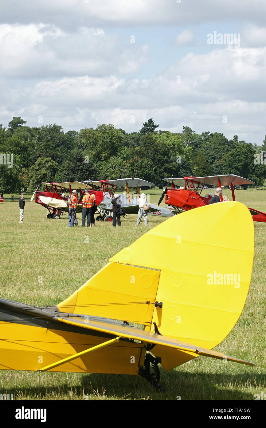 DH.82 Tiger Moths  lined up at the International DH Moth Rally at Woburn Abbey August 2015 Stock Photo
