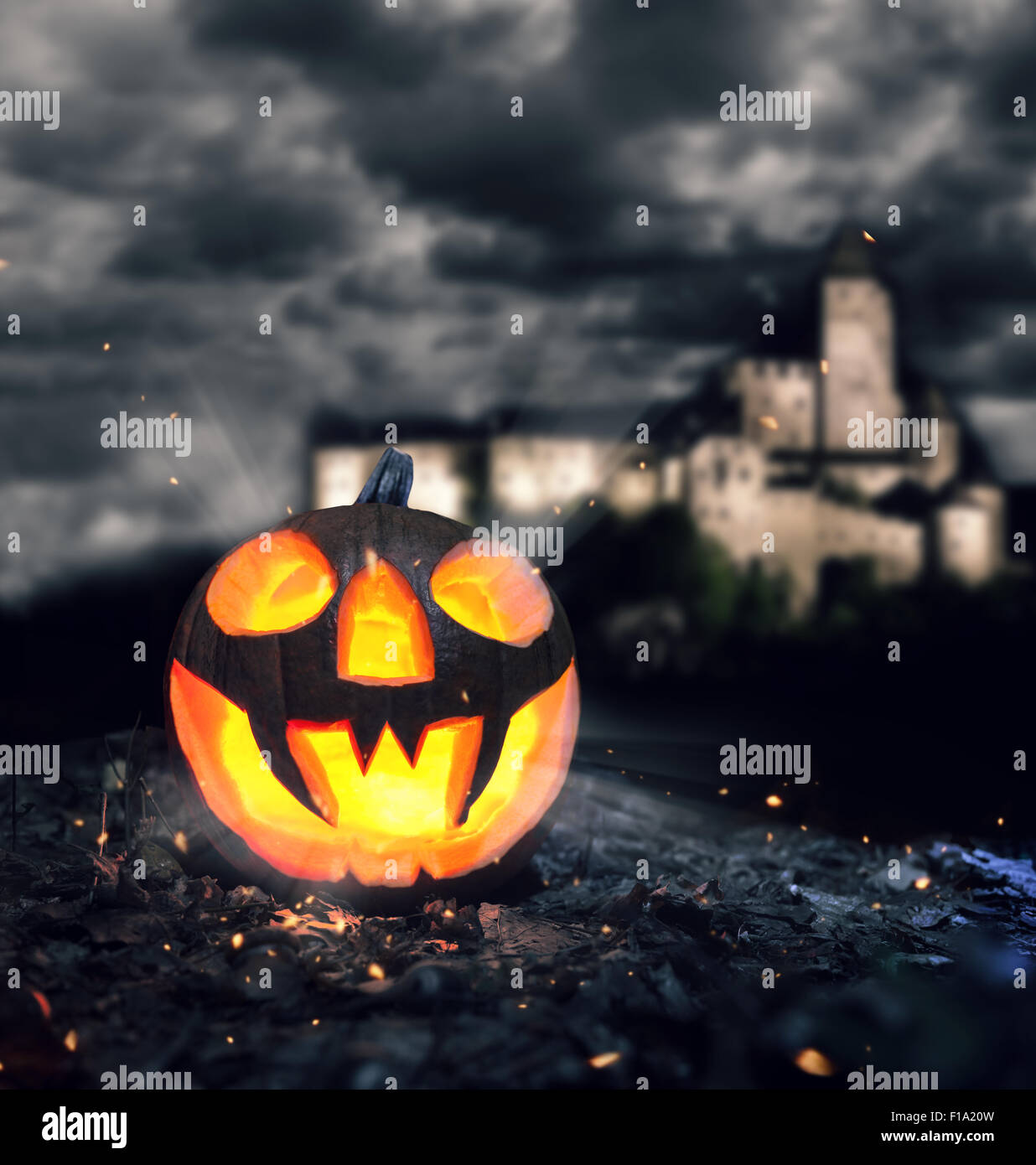 Halloween pumpkin in a forest at night Stock Photo - Alamy