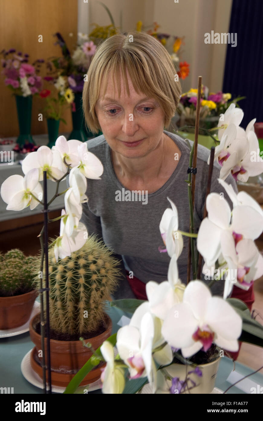 Woman perusing orchid display at a local flower show, near Alton, Hampshire, UK. Stock Photo