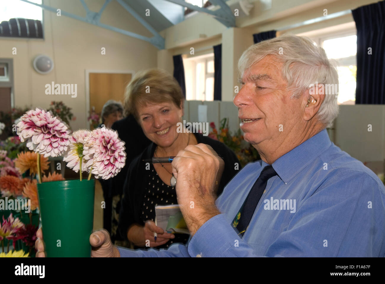 Male judge evaluating an entry in a local flower show with a female steward looks on in background, near Alton, Hampshire, UK. Stock Photo