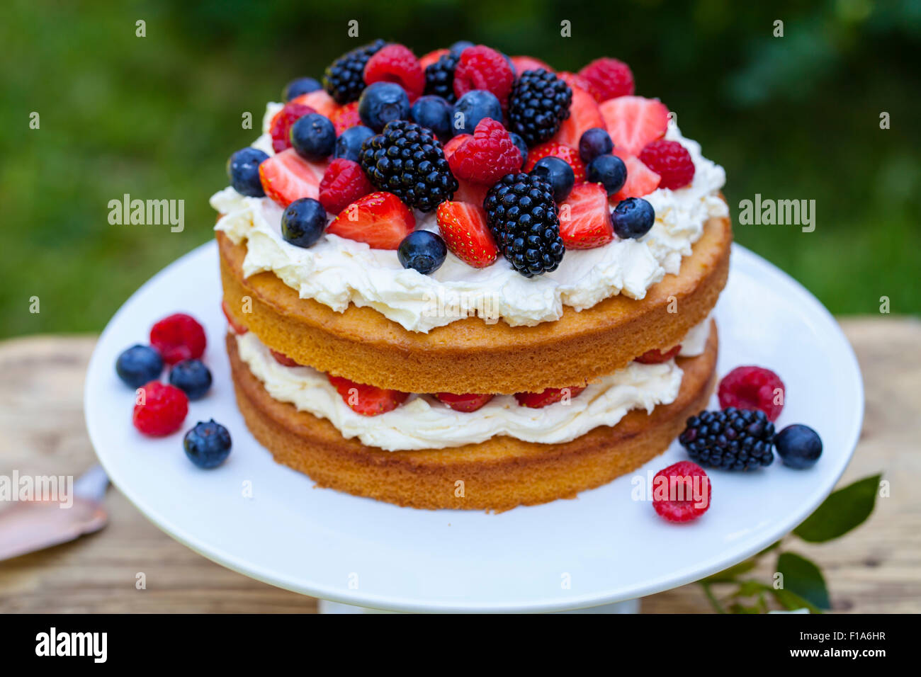 Summer berry cake Stock Photo Alamy