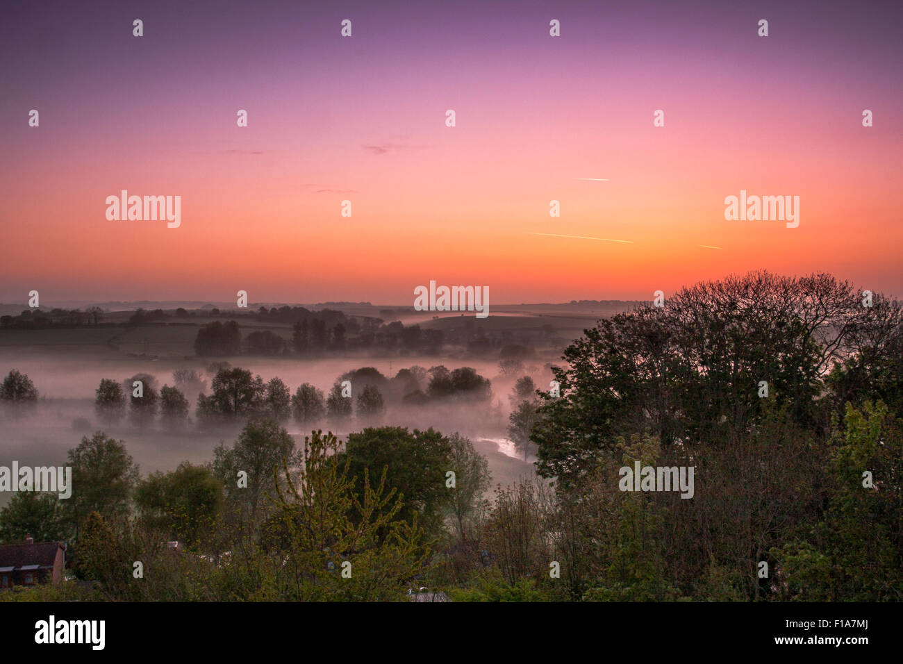 Early morning mist envelopes the trees and rolling hills at sunrise in the  Dorset Countryside,UK Stock Photo