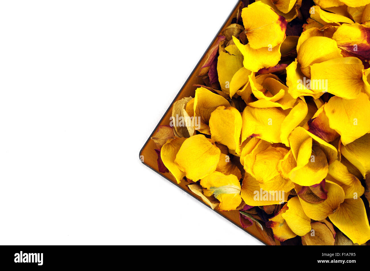Dried rose leaves isolated on white Stock Photo Alamy