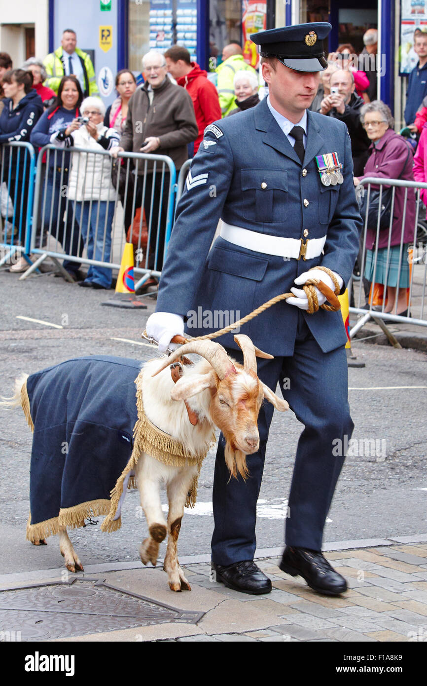 RAF Halton's mascot, George the goat, at the inaugural freedom parade in Thame. Stock Photo