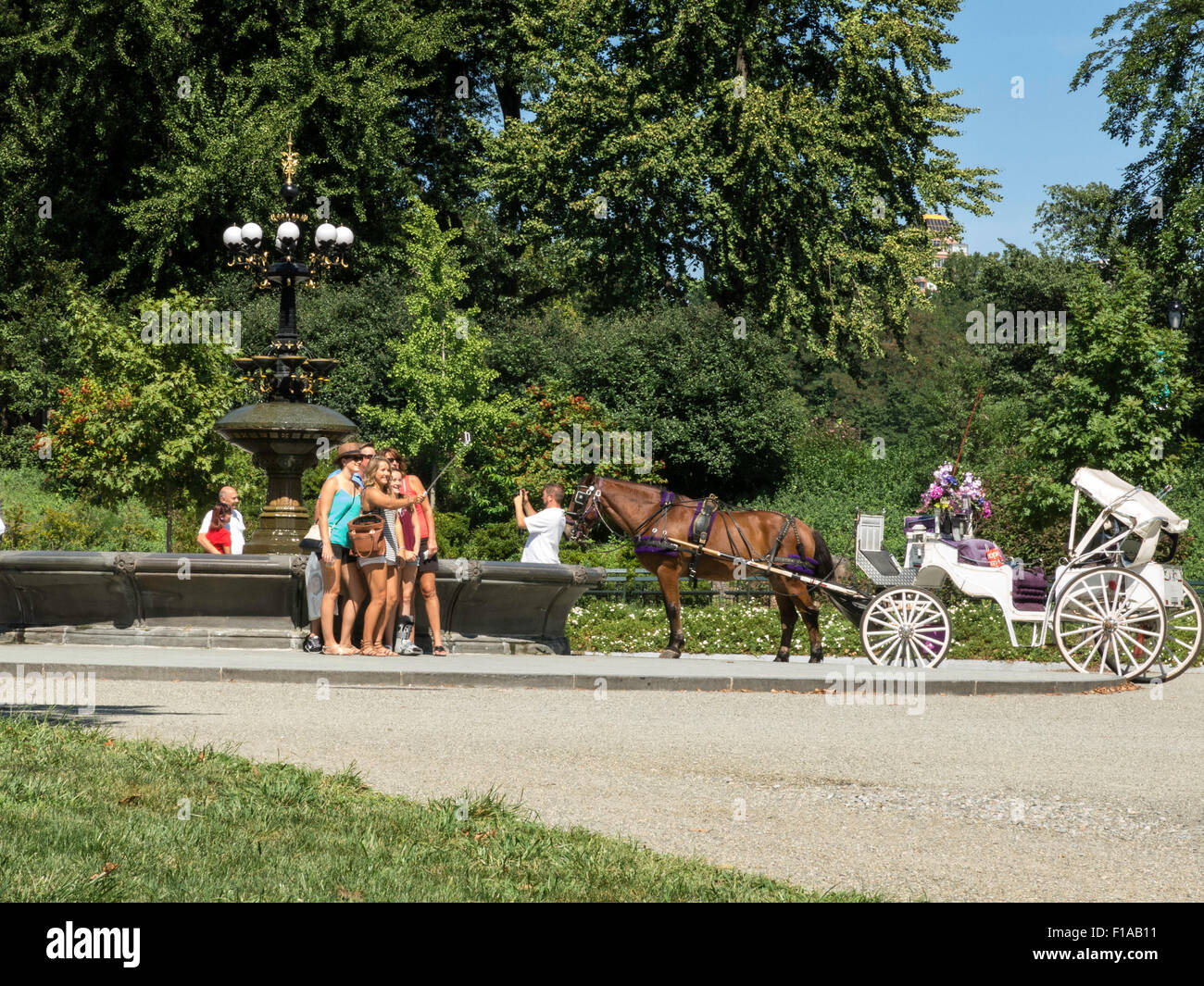 Tourists horse drawn carriage hi-res stock photography and images - Alamy