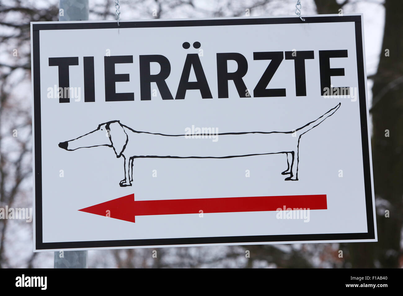 Koenigs Wusterhausen, Germany, funny guide to a veterinary practice Stock Photo