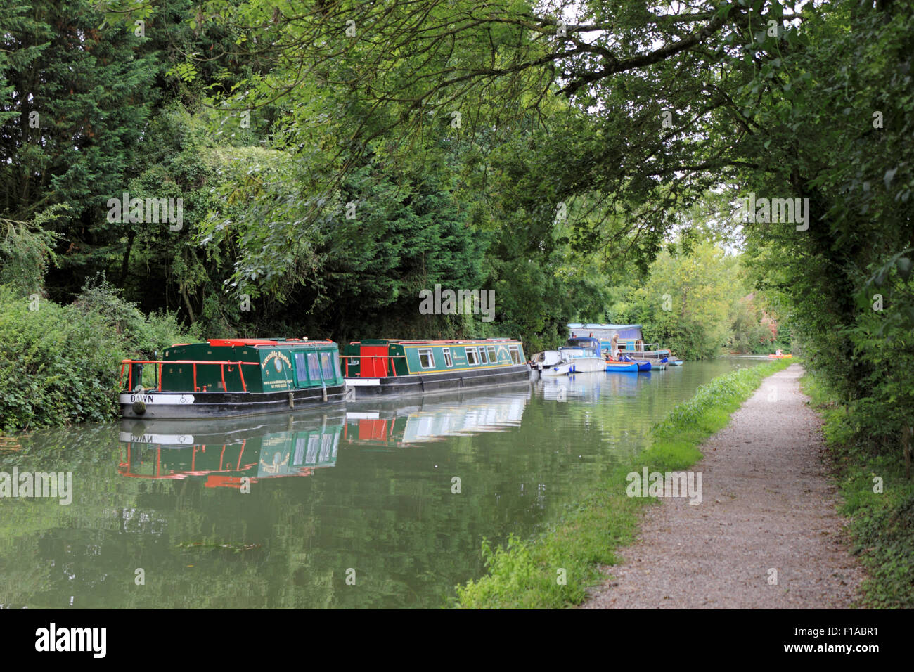 The Basingstoke Canal, England UK Stock Photo