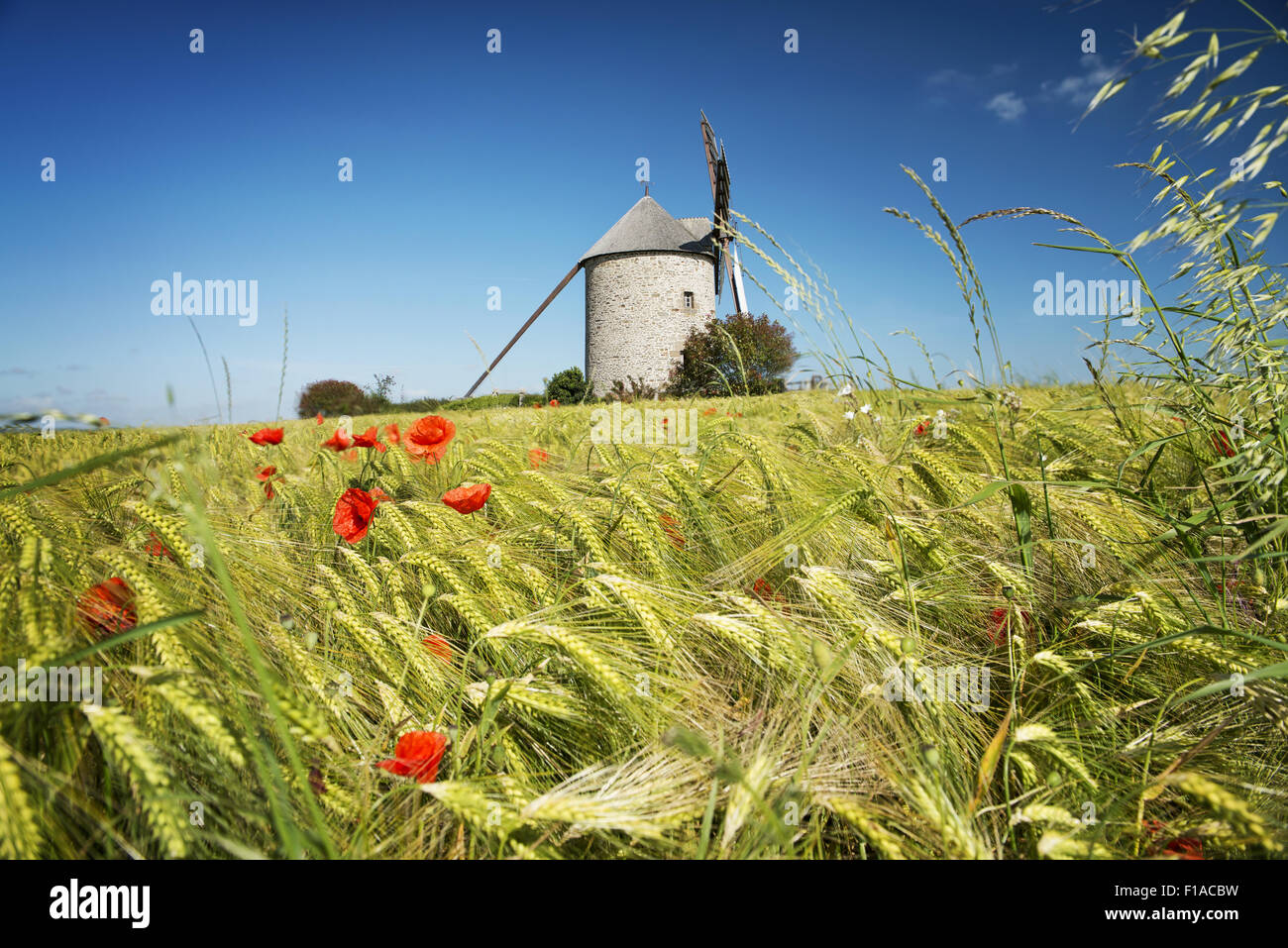 France, the Moidrey windmill in Pontorson in Normandie Stock Photo