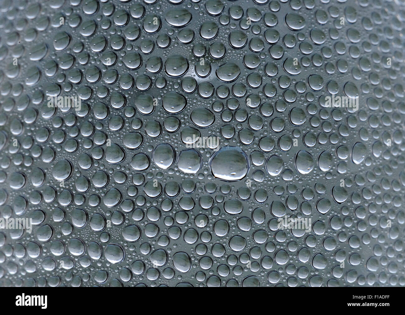 Water Drops Patterns Stock Photo