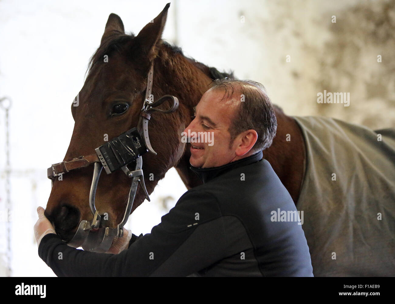 Koenigs Wusterhausen, Germany, a horse is applied before any dental work a speculum Stock Photo