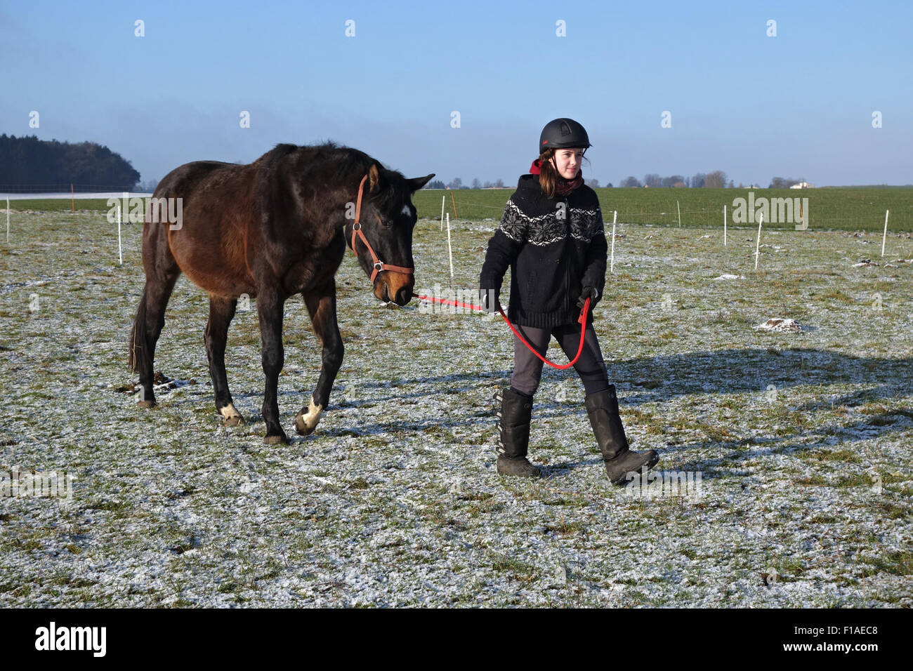New Kätwin, Germany, girl brings her horse from the paddock Stock Photo