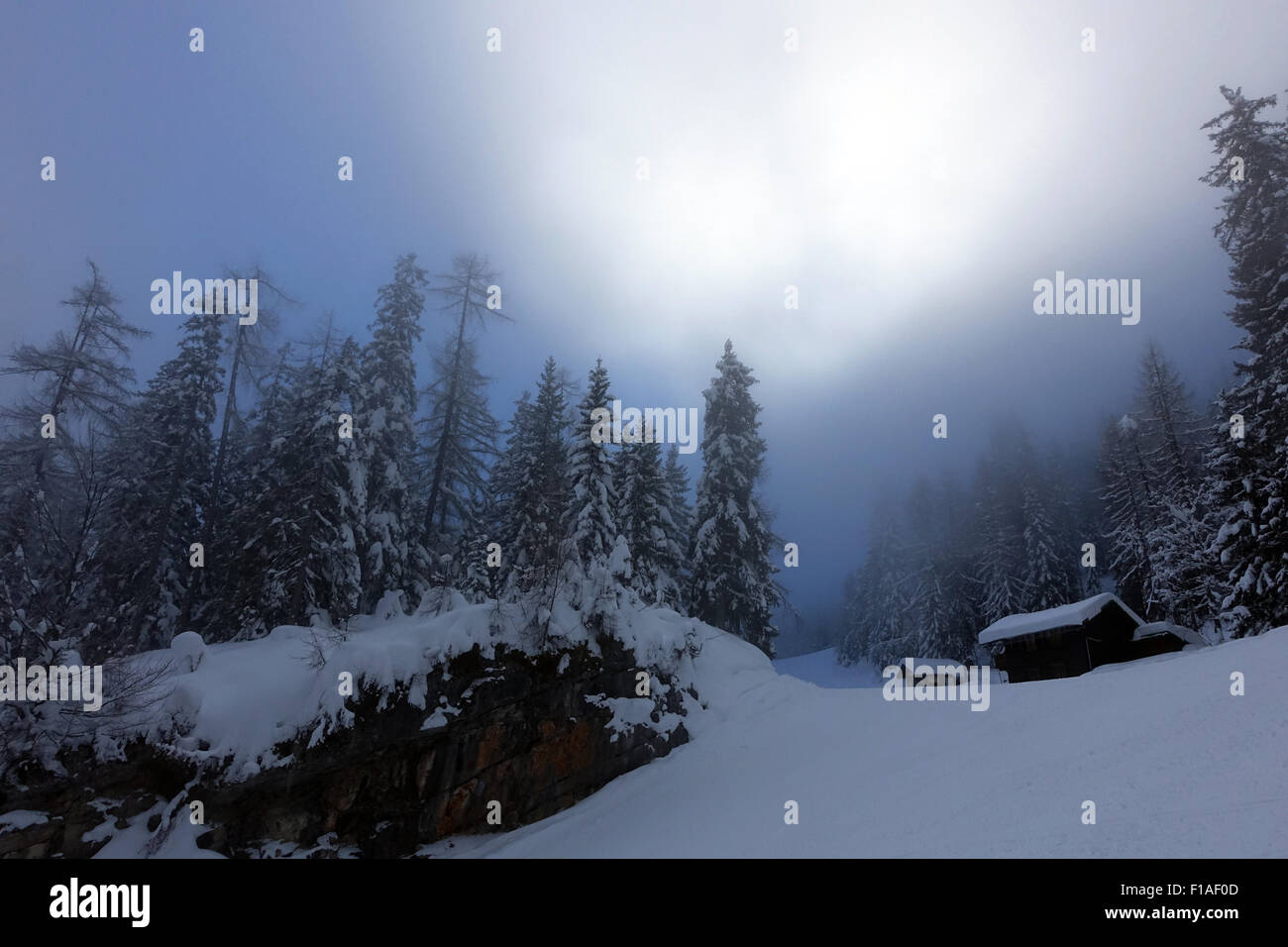 Krippenbrunn, Austria, snowy landscape with high fog Stock Photo