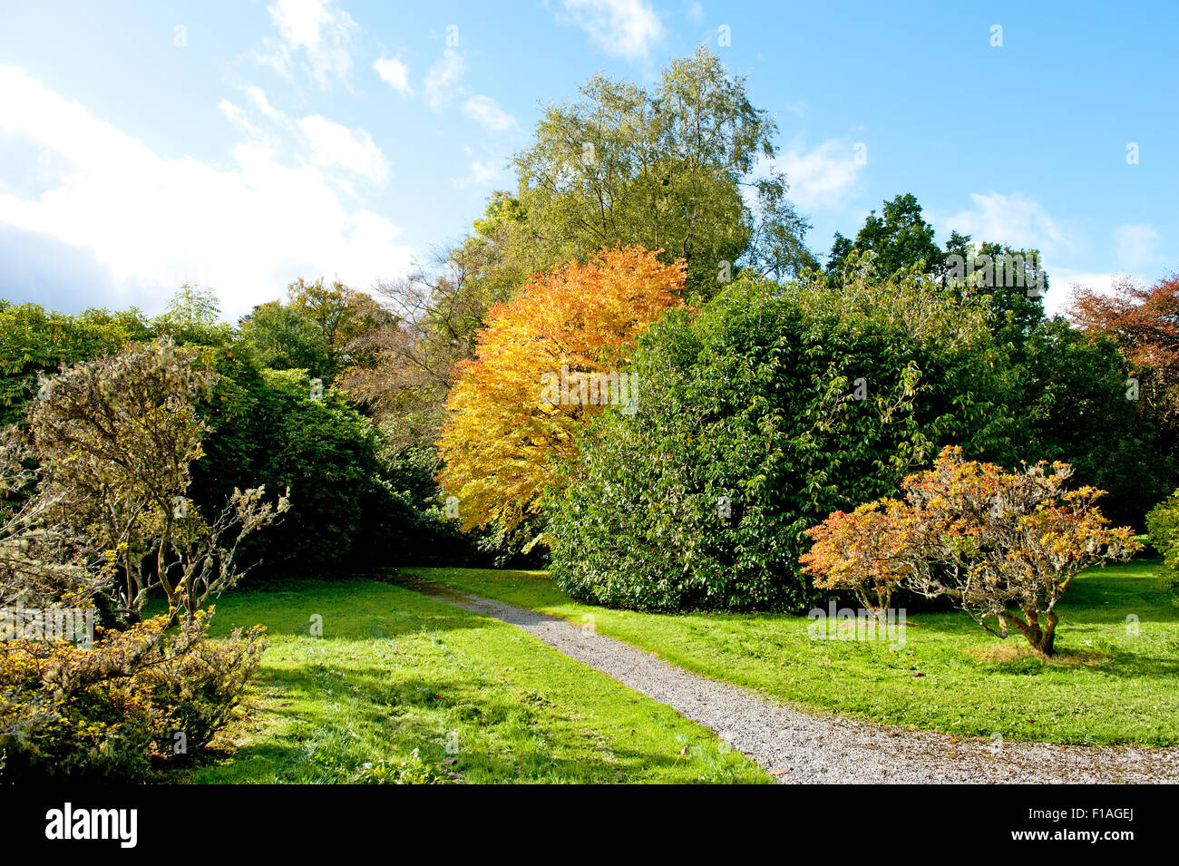 Beautiful autumn day in the park Stock Photo