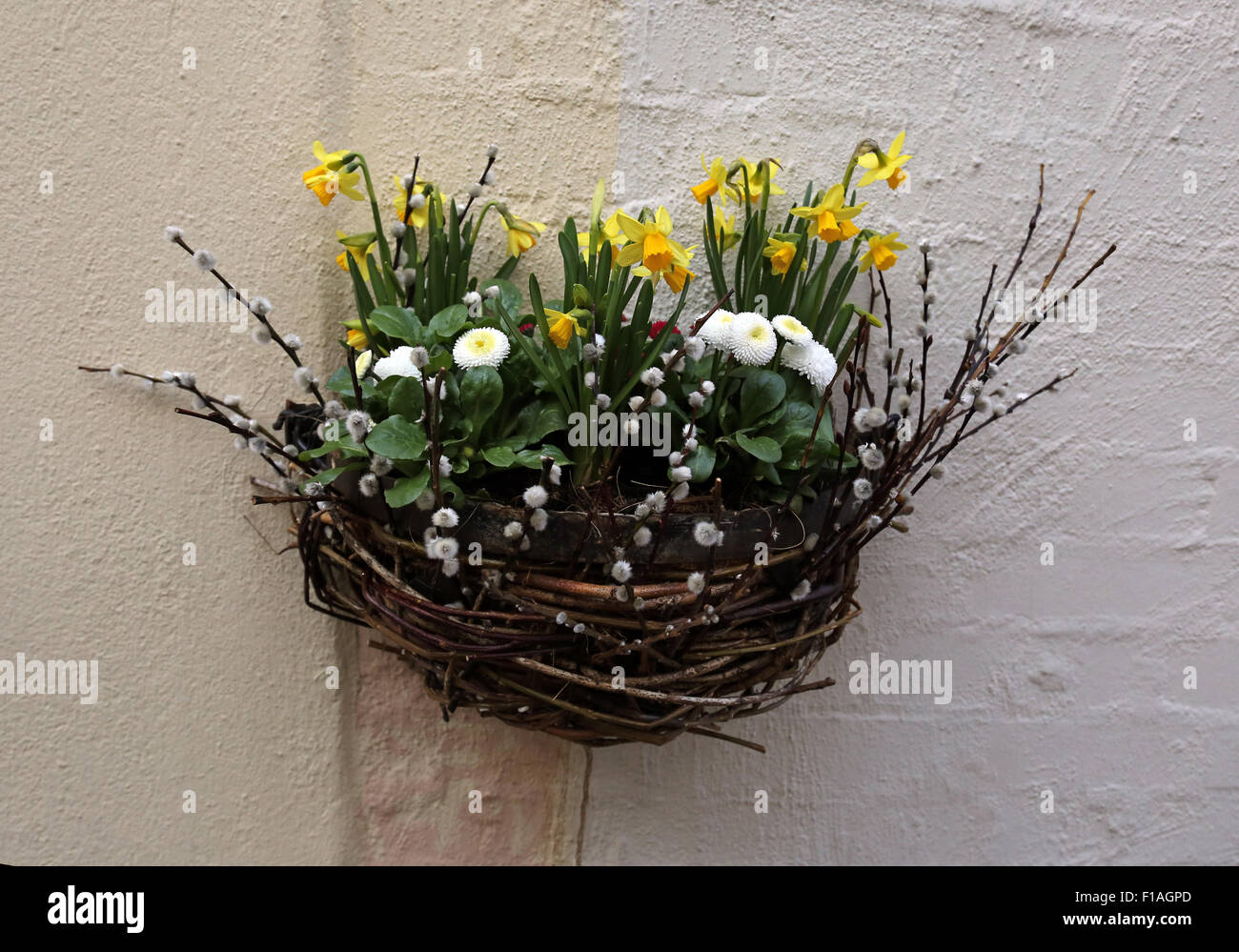 Bremen, Germany, wicker basket with daffodils on a house facade Stock Photo