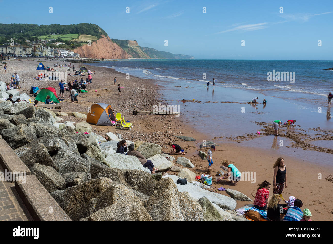 Sidmouth beach and cliffs on a summer day with tourists and local