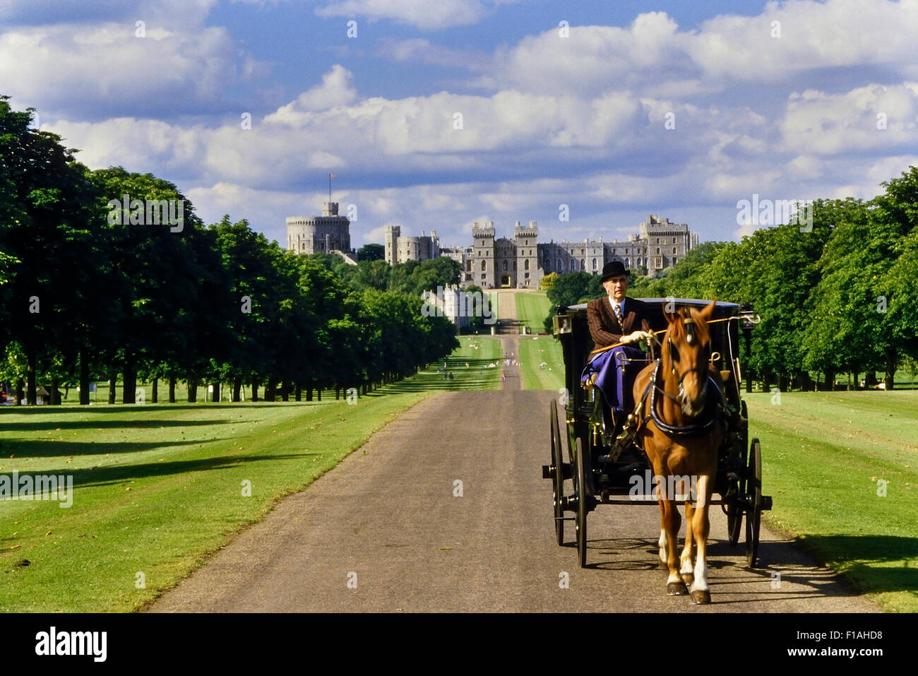 Horse and carriage ride along the Long Walk, Windsor Great Park. Windsor. Berkshire. England Stock Photo