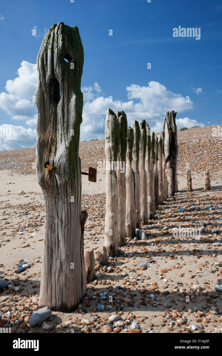 Old wooden sea defences, breakwater groynes on a sunny day at Rye Harbour near Winchelsea beach, East Sussex, England, UK Stock Photo