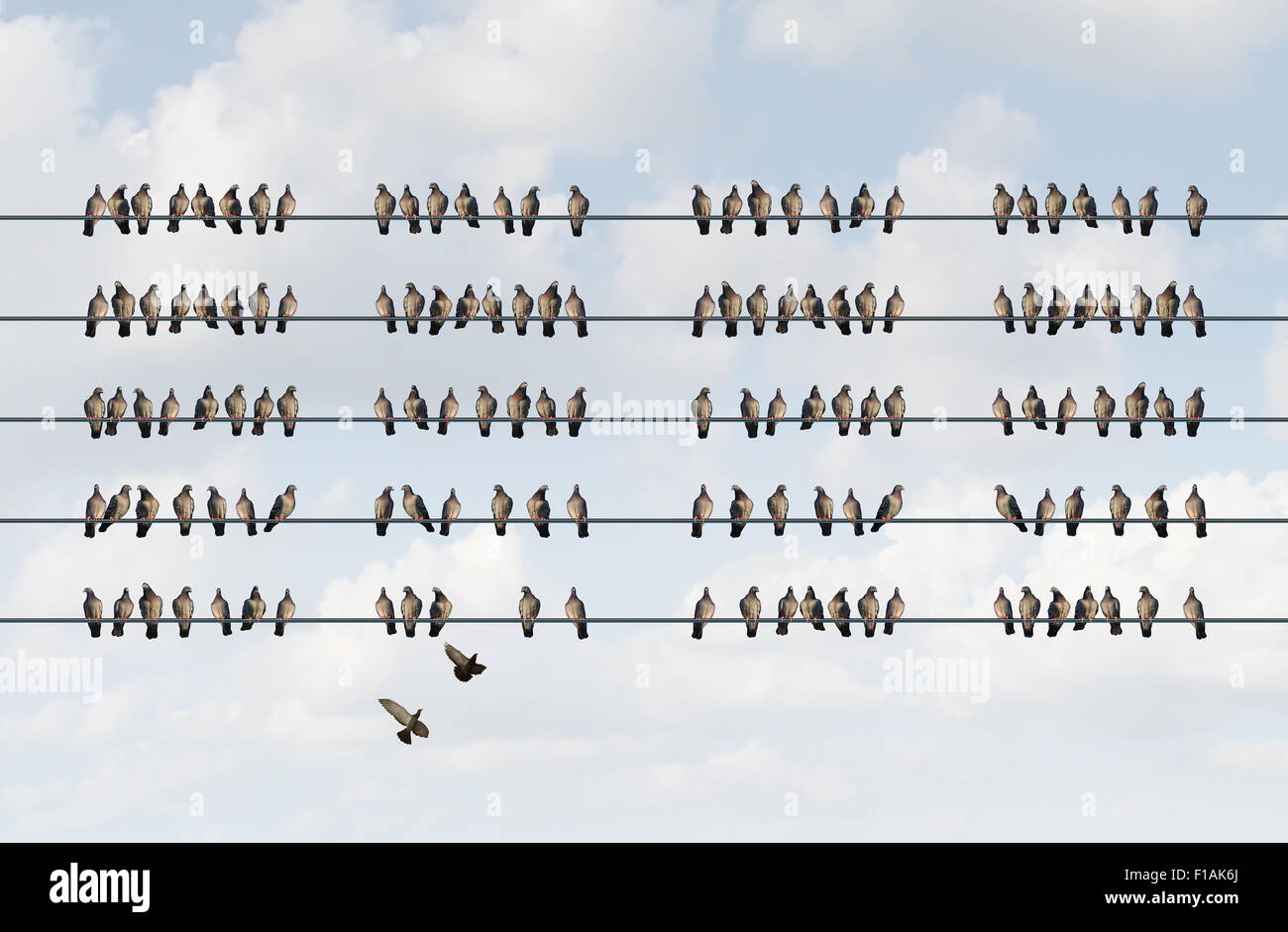 Group management business concept as a cluster of birds on a wire in the shape of organized aligned pattern as a metaphor for st Stock Photo