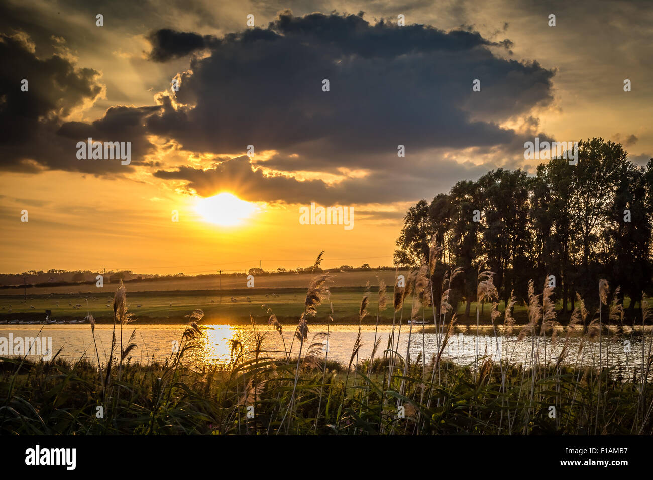 Sunset over Titchmarsh Nature Reserve Stock Photo