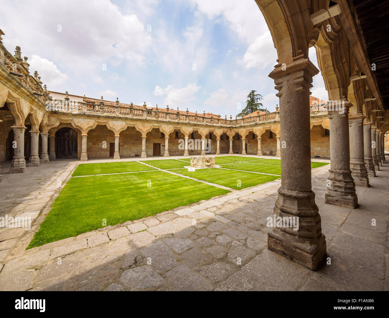 Spain, Castile and Leon, Salamanca, patio de las escuelas menores, University Stock Photo