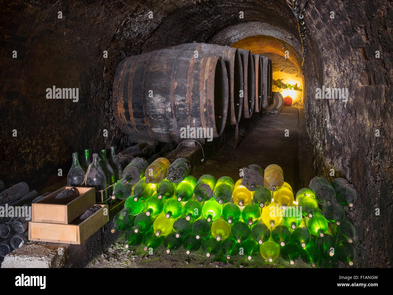 Austria, Lower Austria, Weinviertel, wine cellar Stock Photo