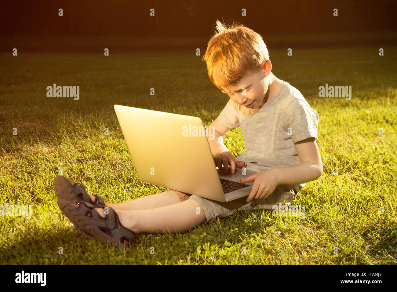Little boy sitting on a meadow using laptop Stock Photo - Alamy