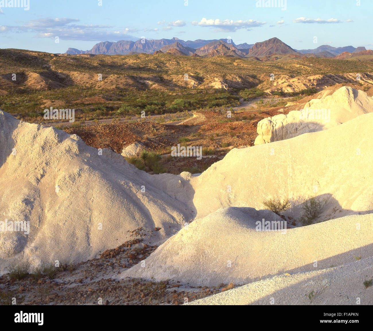 Big Bend Stock Photo