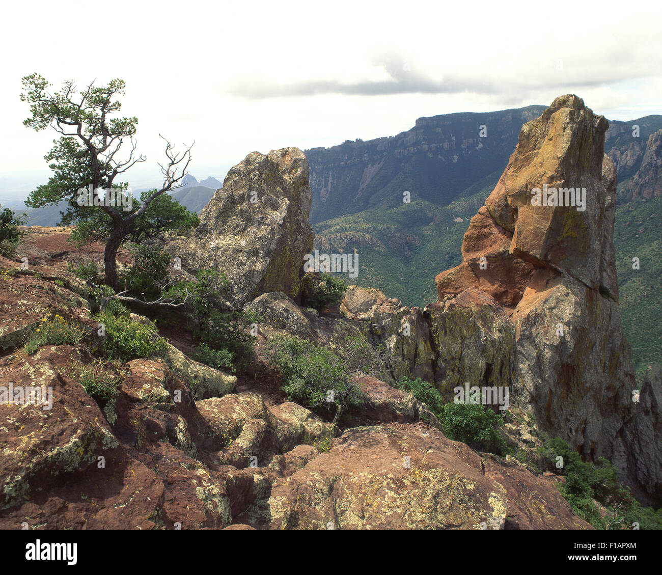 Big Bend Stock Photo