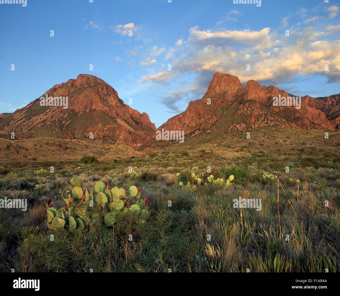 Big Bend Stock Photo