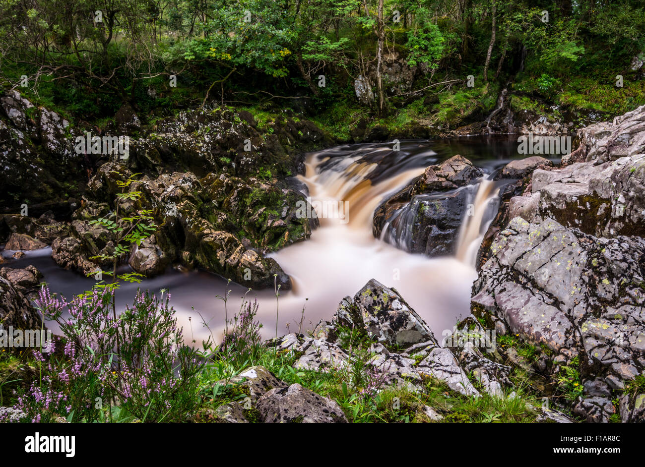 Glentrool waterfall and vegetation contrasting against the granite rocks. Stock Photo