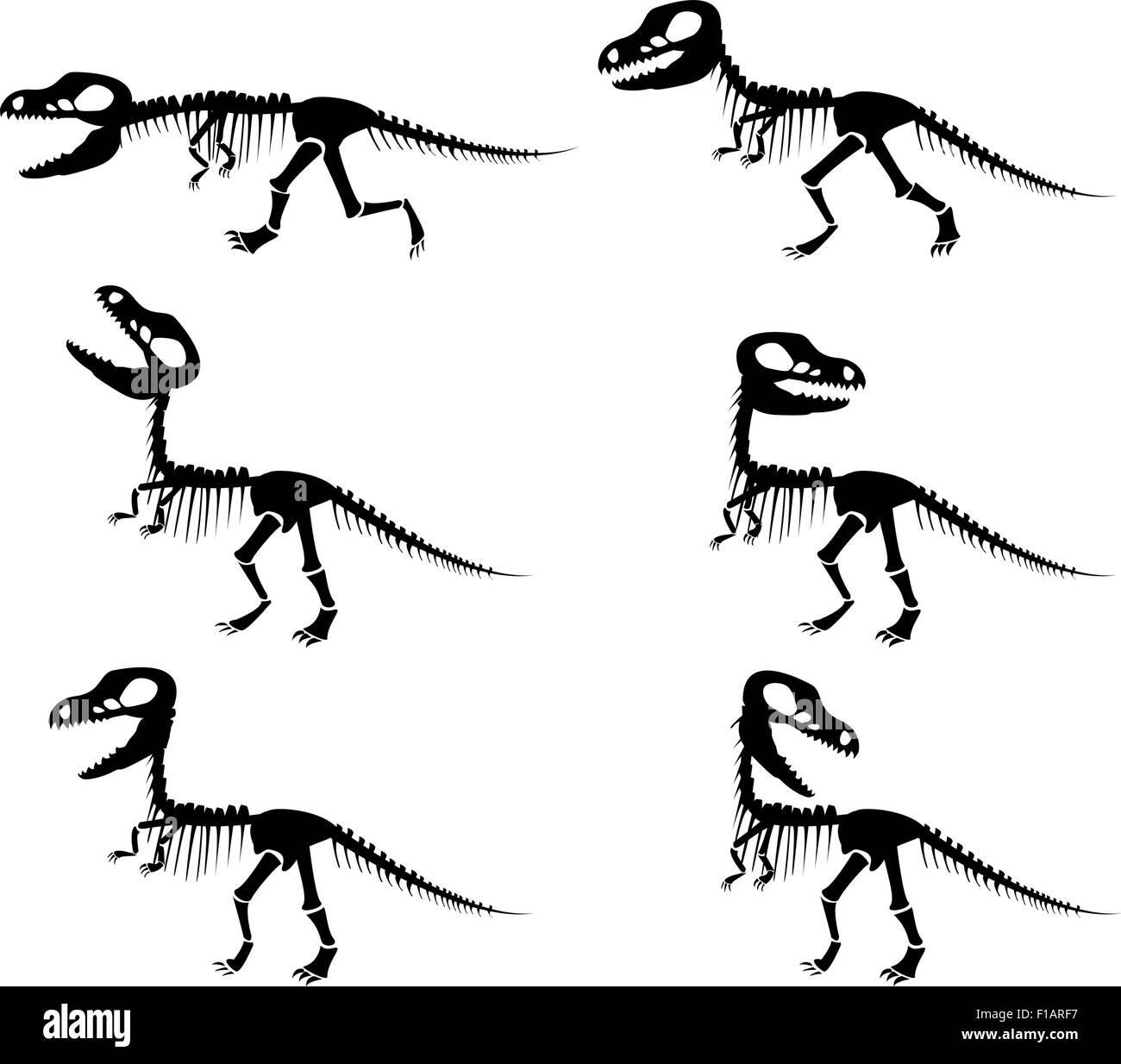 Isolated vector silhouettes of the skeleton of a Tyrannosaurus rex dinosaur in silhouette style. Stock Vector