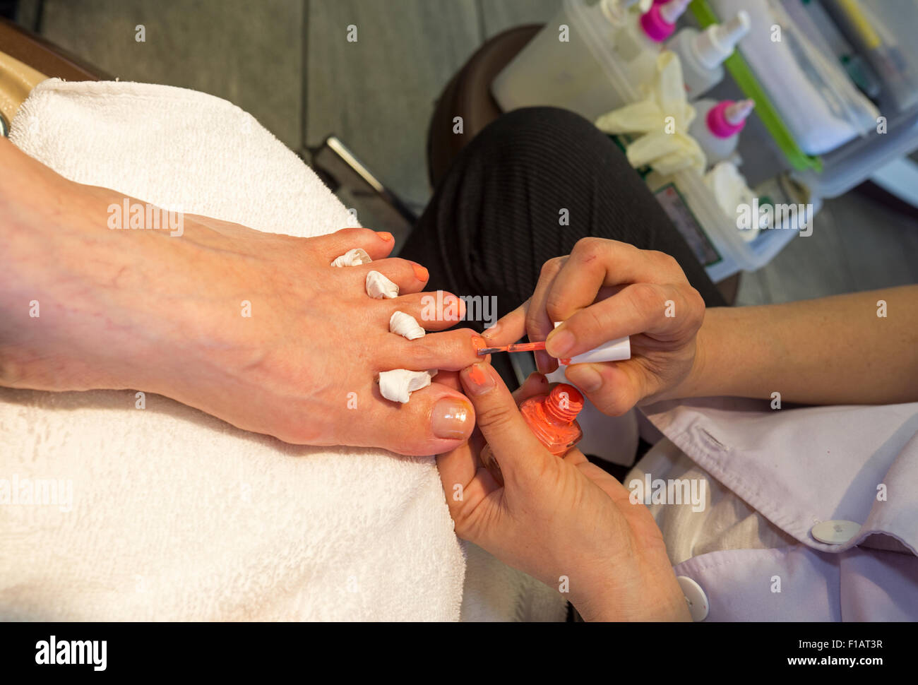 Vietnamese-American, adult woman, pedicurist, applying nail polish, pedicure, nail salon, Novato, Marin County, California Stock Photo