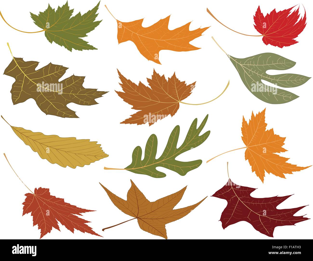 Wind blown fall leaves to add to your designs Stock Vector