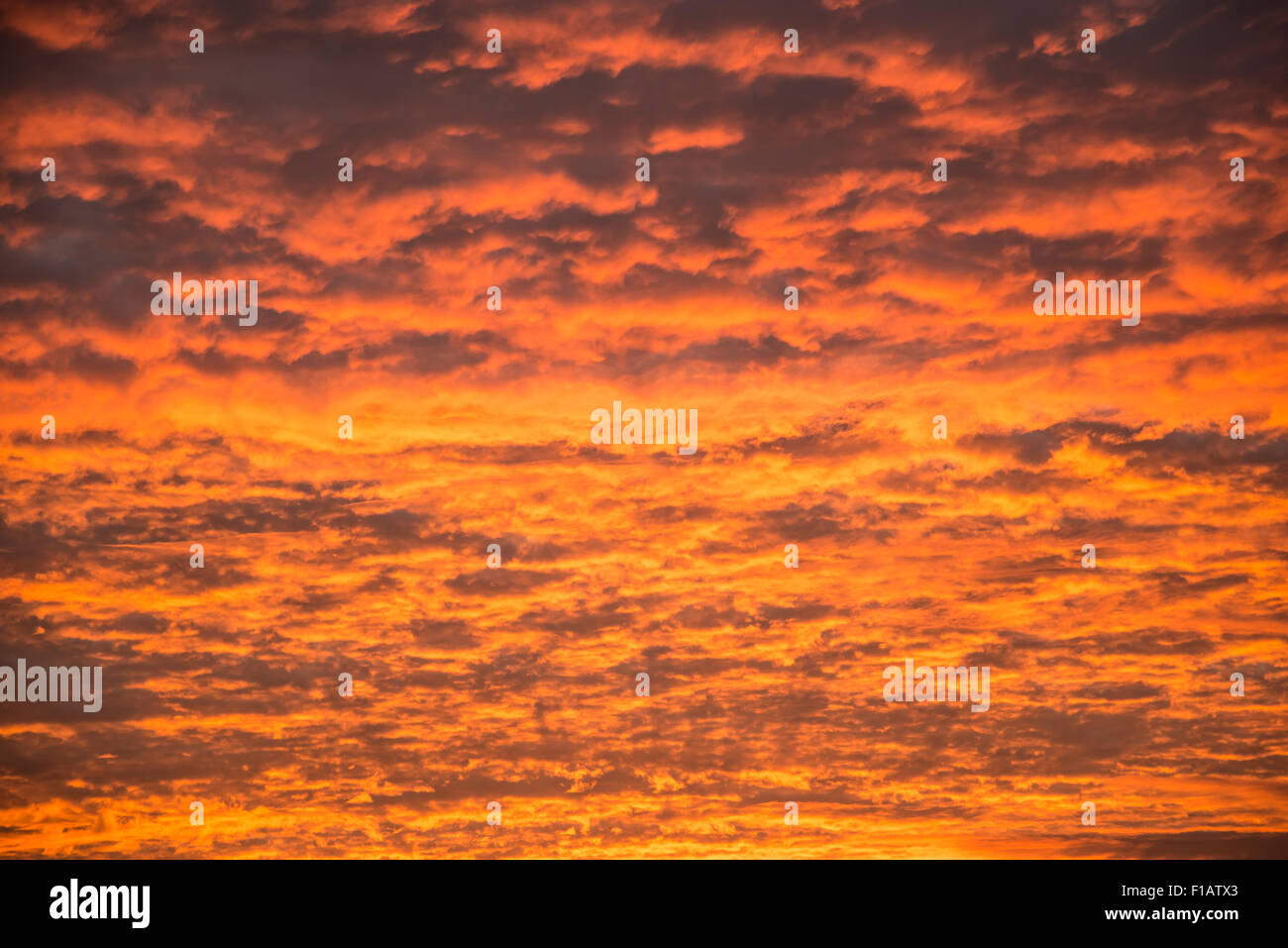 Amazing colorful clouds on the evening sunset sky Stock Photo - Alamy