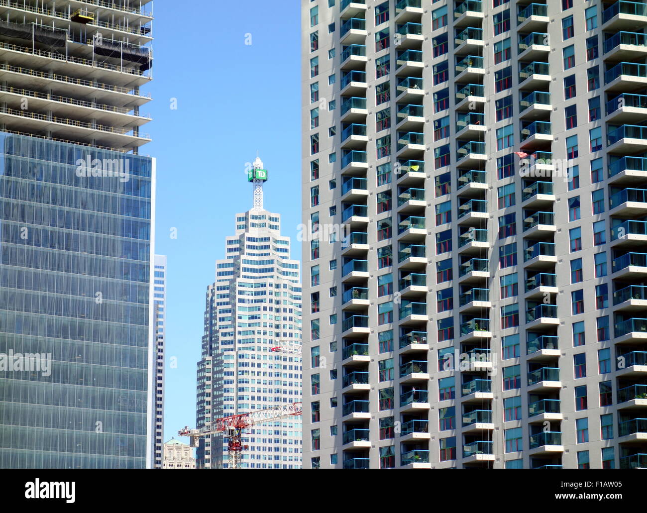 Td canada trust stock options