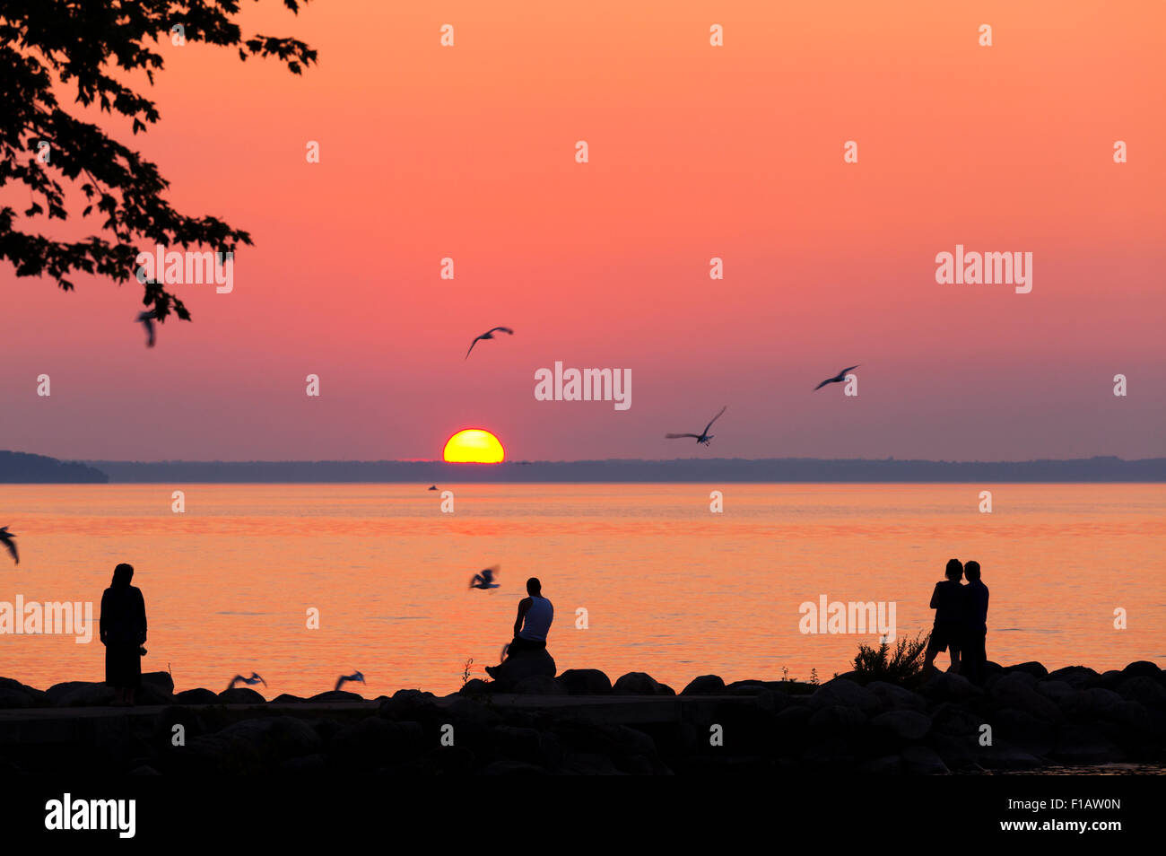 People silhouetted against a vibrant sky as the sun sets over Lake Simcoe. Willow Beach, Ontario, Canada. Stock Photo