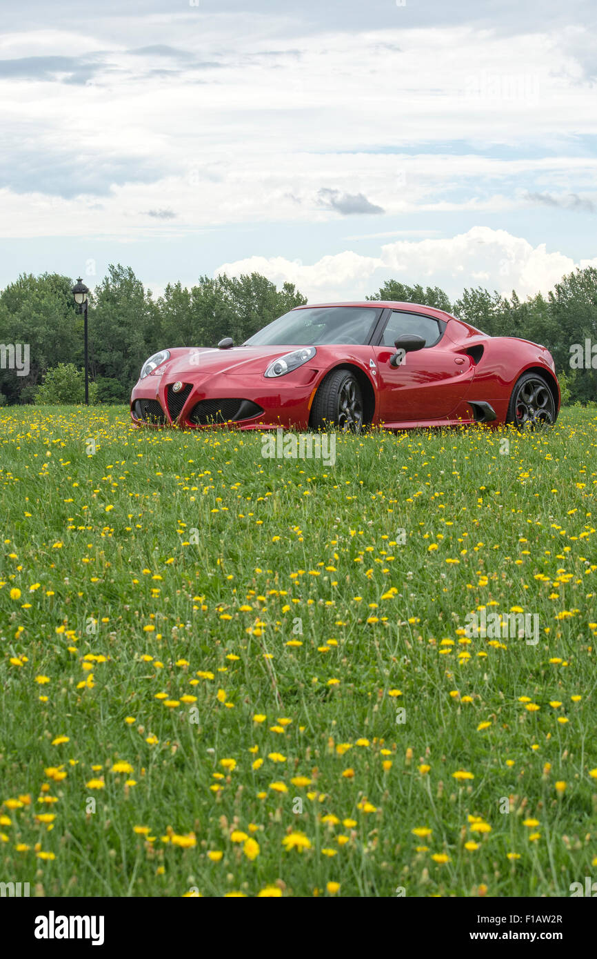 a red alfa romeo 4c Stock Photo - Alamy