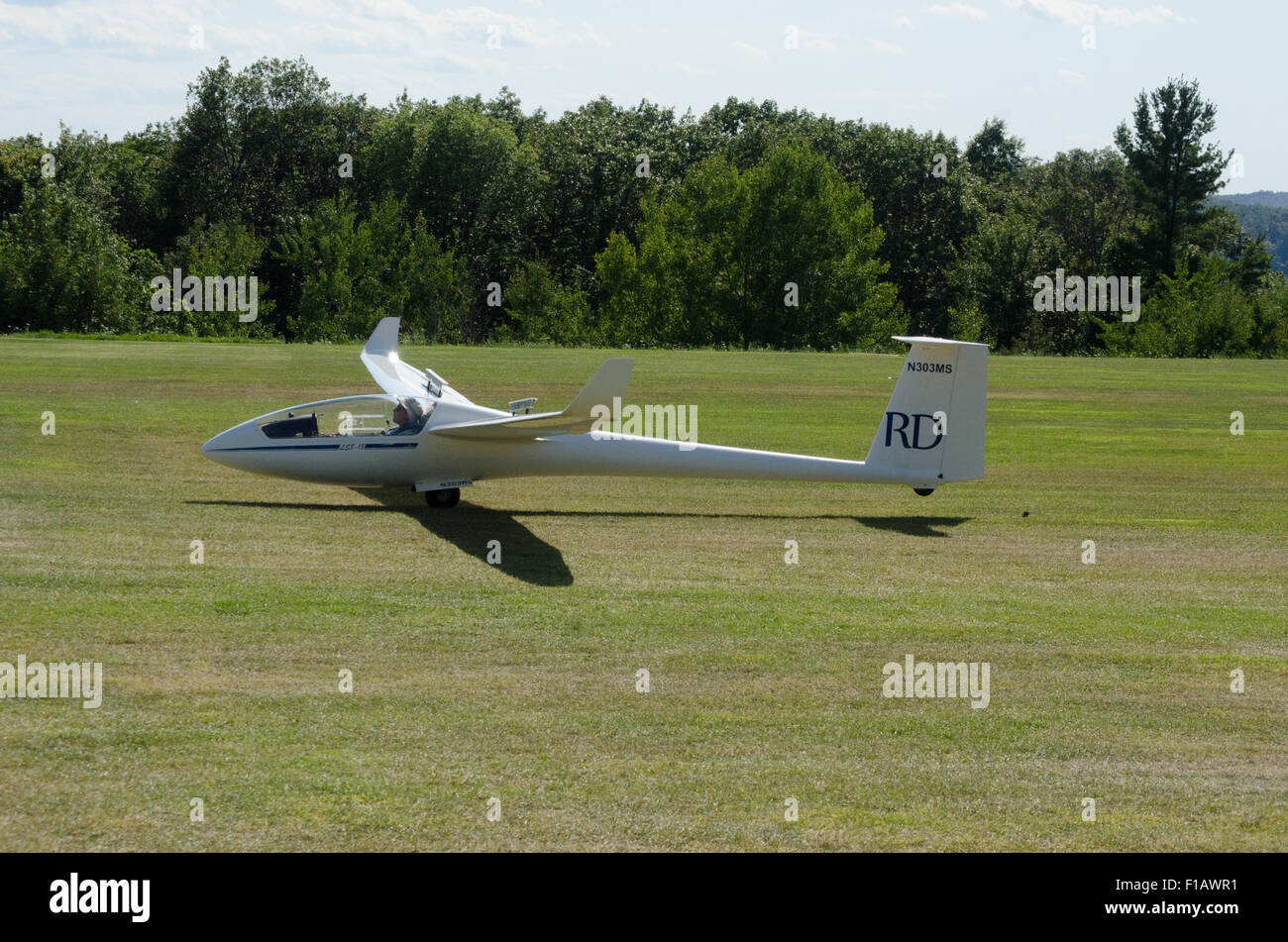 Sailplane touches down on grass runway. Stock Photo