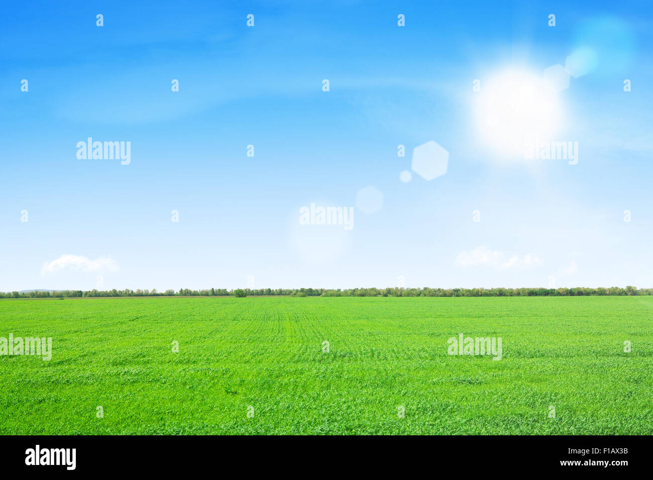 Green grass field and blue sky with sun Stock Photo - Alamy