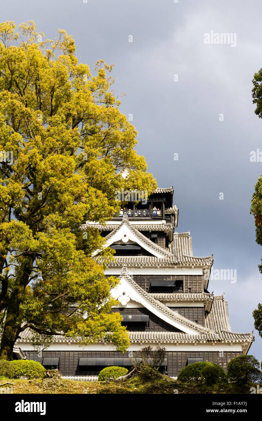 Kumamoto castle before 2016 earthquake. Dark stormy sky over the main keep, one side hidden by tree with green leaves. Springtime. Stock Photo