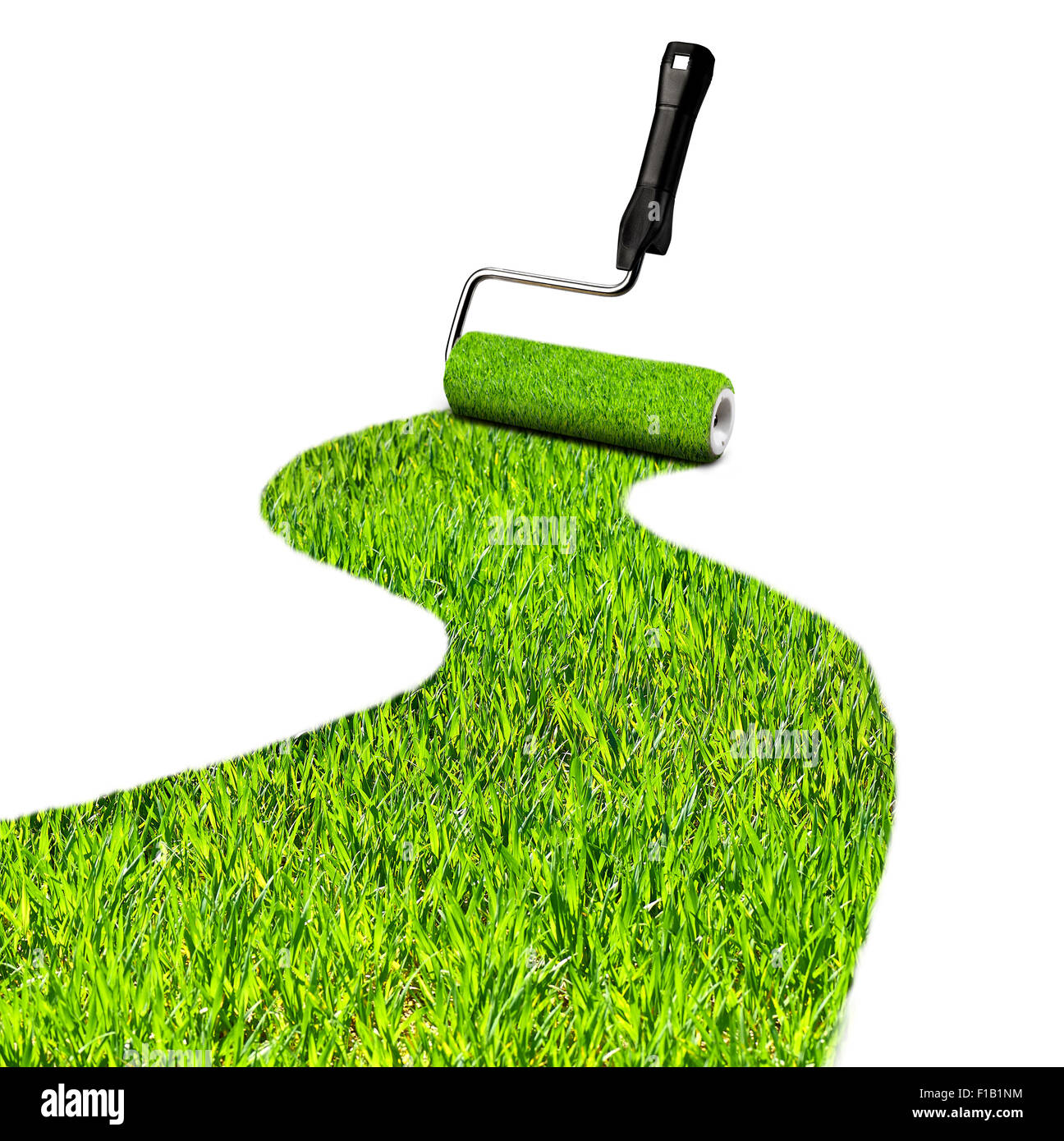 Green Paint Roller Stock Photos & Green Paint Roller Stock Images - Alamy
