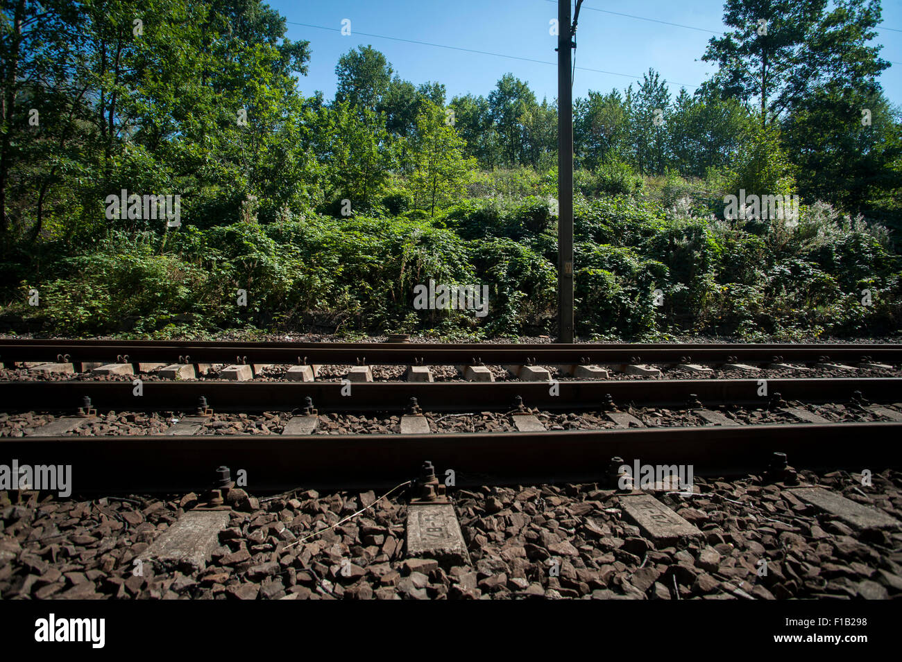 The legend of the golden train of the Third Reich The legend of the golden train of the Third Reich