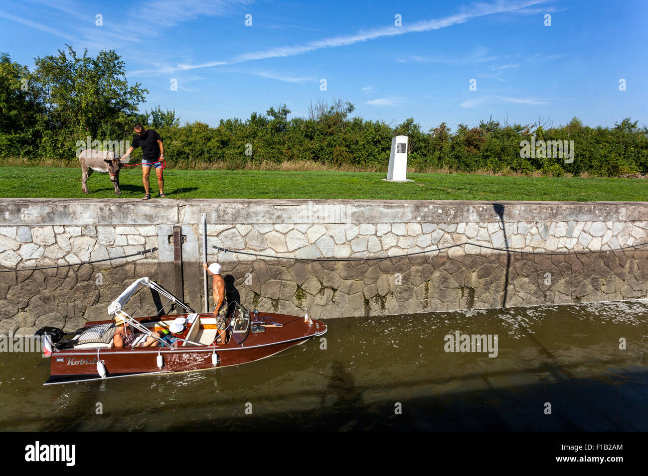 Female donkey Violka, Bata Canal, port Straznice Petrov, South Moravia, Czech Republic, Europe Bata Canal is a navigable canal o Stock Photo