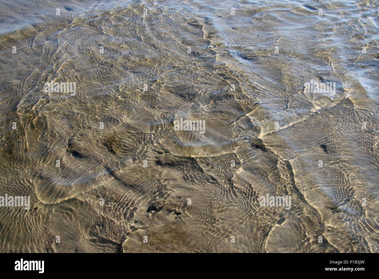 Closeup shot of shallow water on the river Danube, in the morning sun Stock Photo