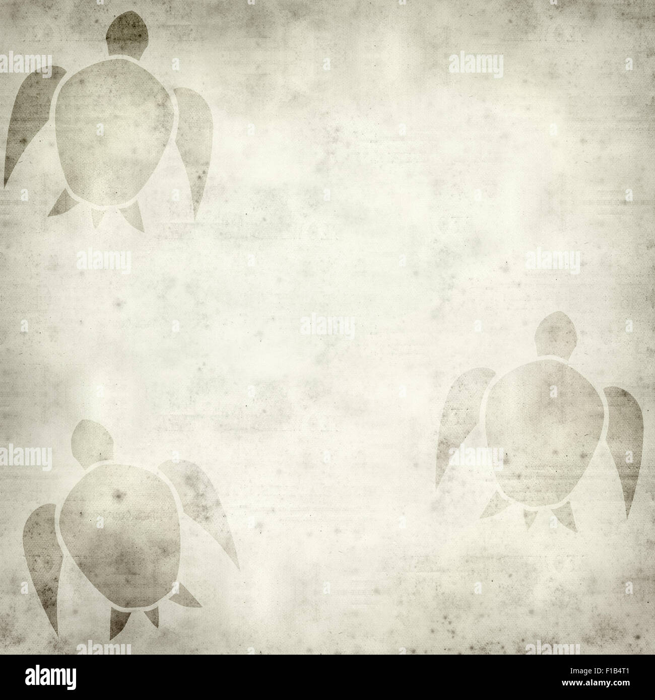 textured old paper background with sea turtle illustration Stock Photo ...